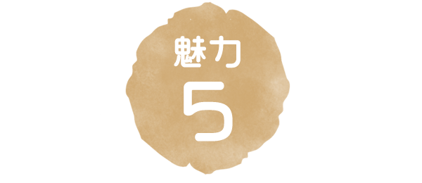 魅力5