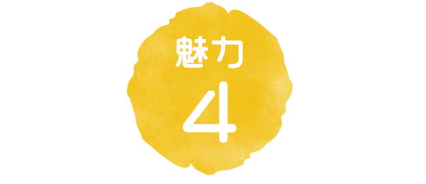 魅力4