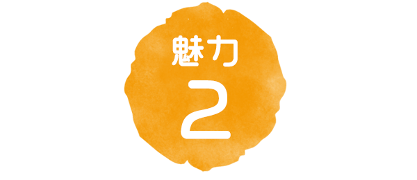 魅力2